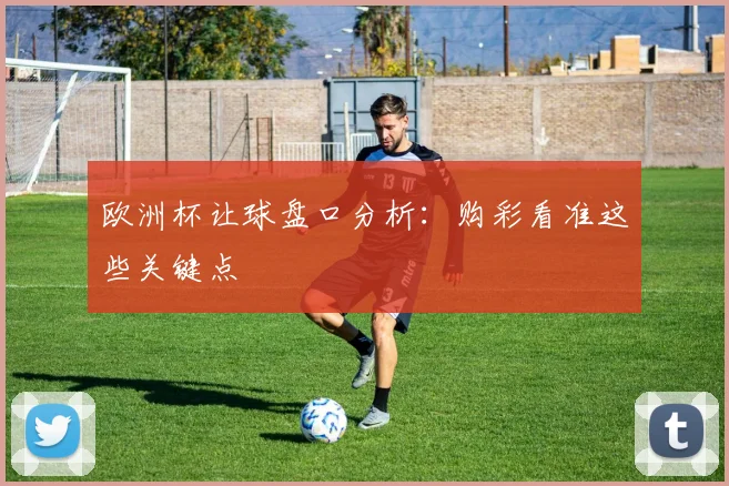 欧洲杯让球盘口分析：购彩看准这些关键点