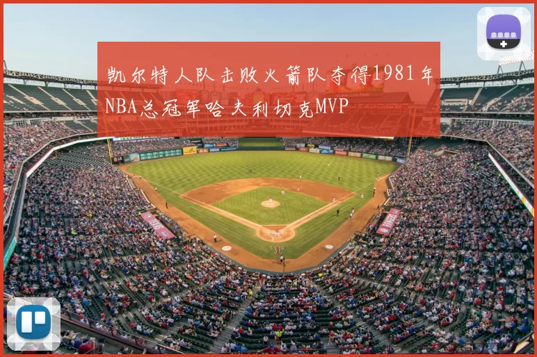 凯尔特人队击败火箭队夺得1981年NBA总冠军哈夫利切克MVP
