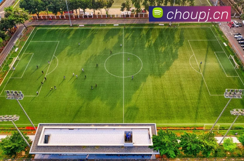 数据防护可视化